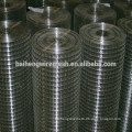 Hebei Baiheng 1/4 inch Welded Wire Mesh